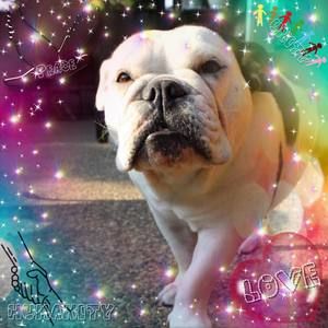 Meet your Posher, Suzette